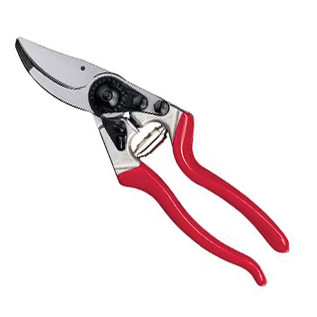 Felco Pruner #8