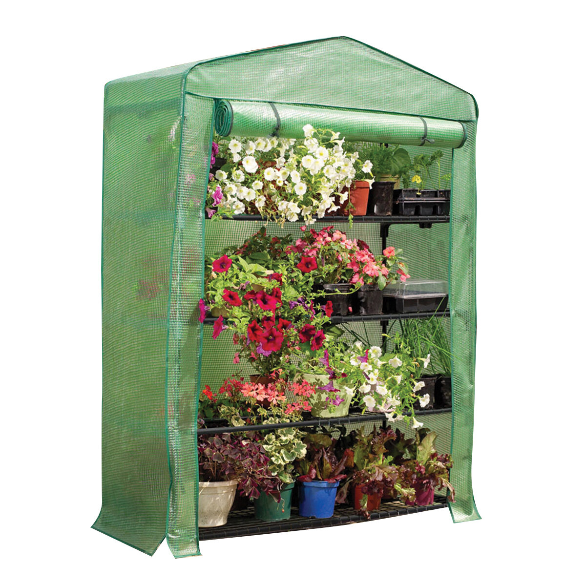 4 Tier Mini Greenhouse ExtraWide 5'3"Hx3'11"Wx19"D