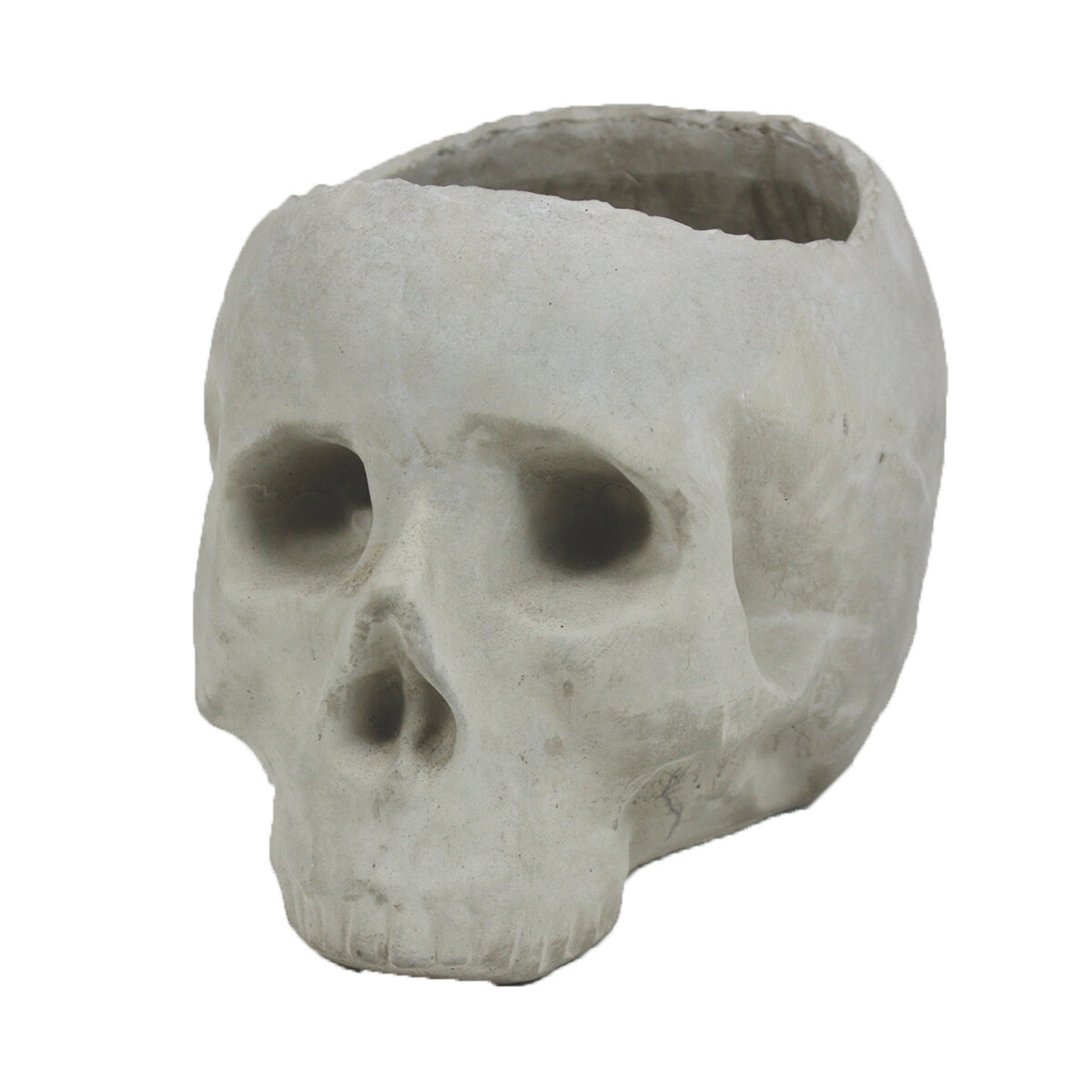 Skull Indoor Pot 22x16x15cm