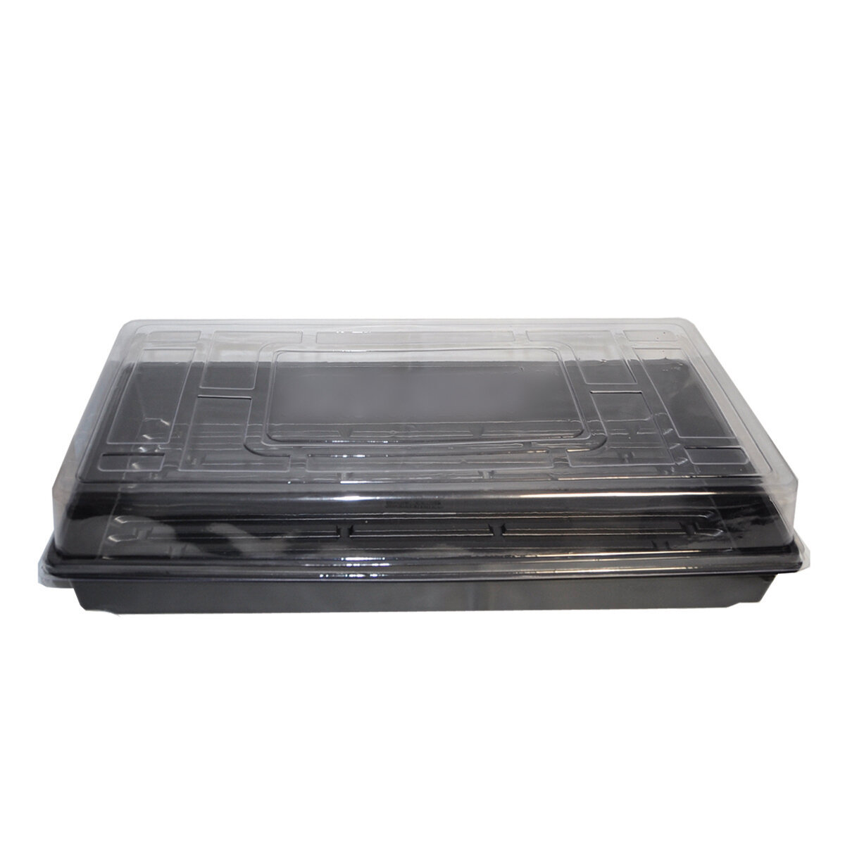 Propagation Tray w/ no holes 10x20 127g 55x28x6cm
