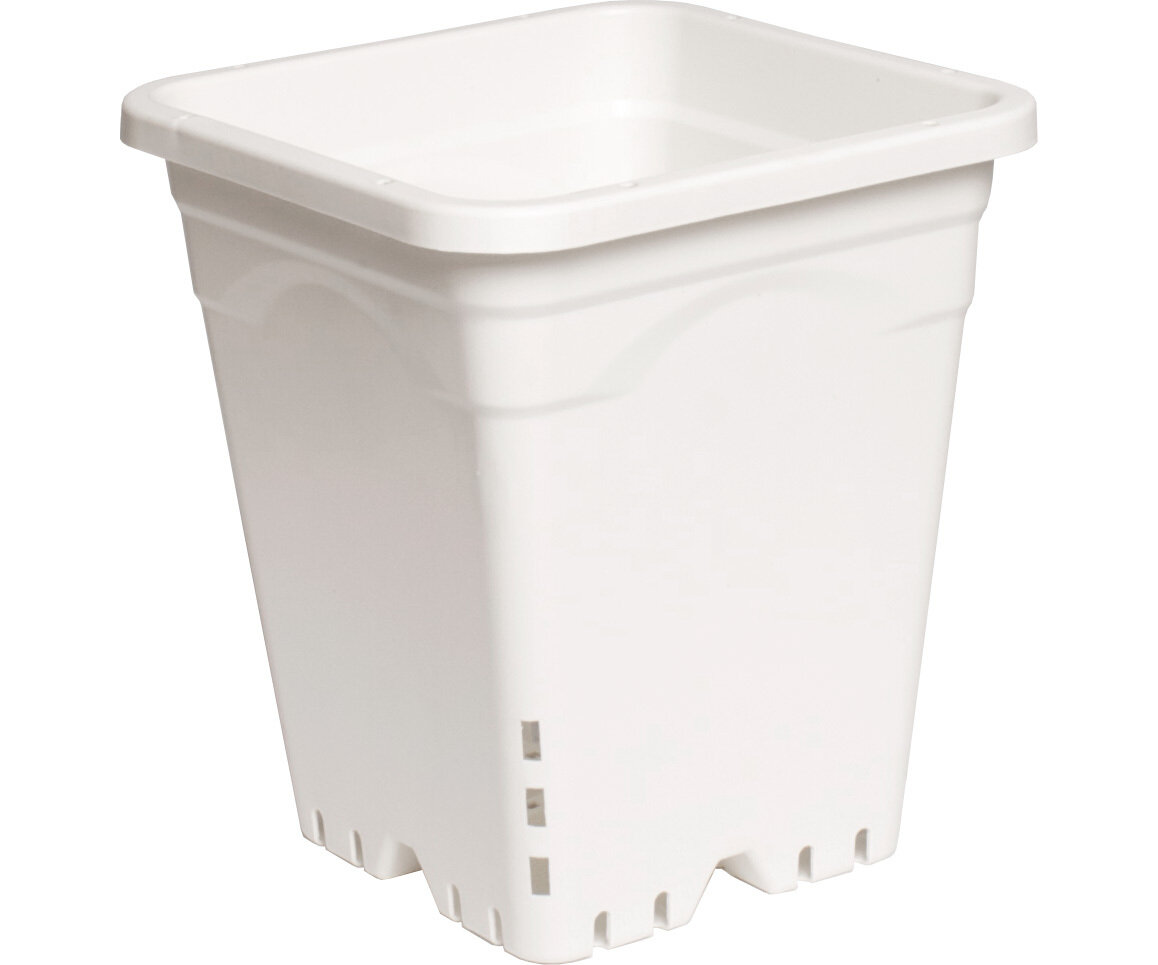9"x9" Square White Pot, 10" Tall CS (24pcs)