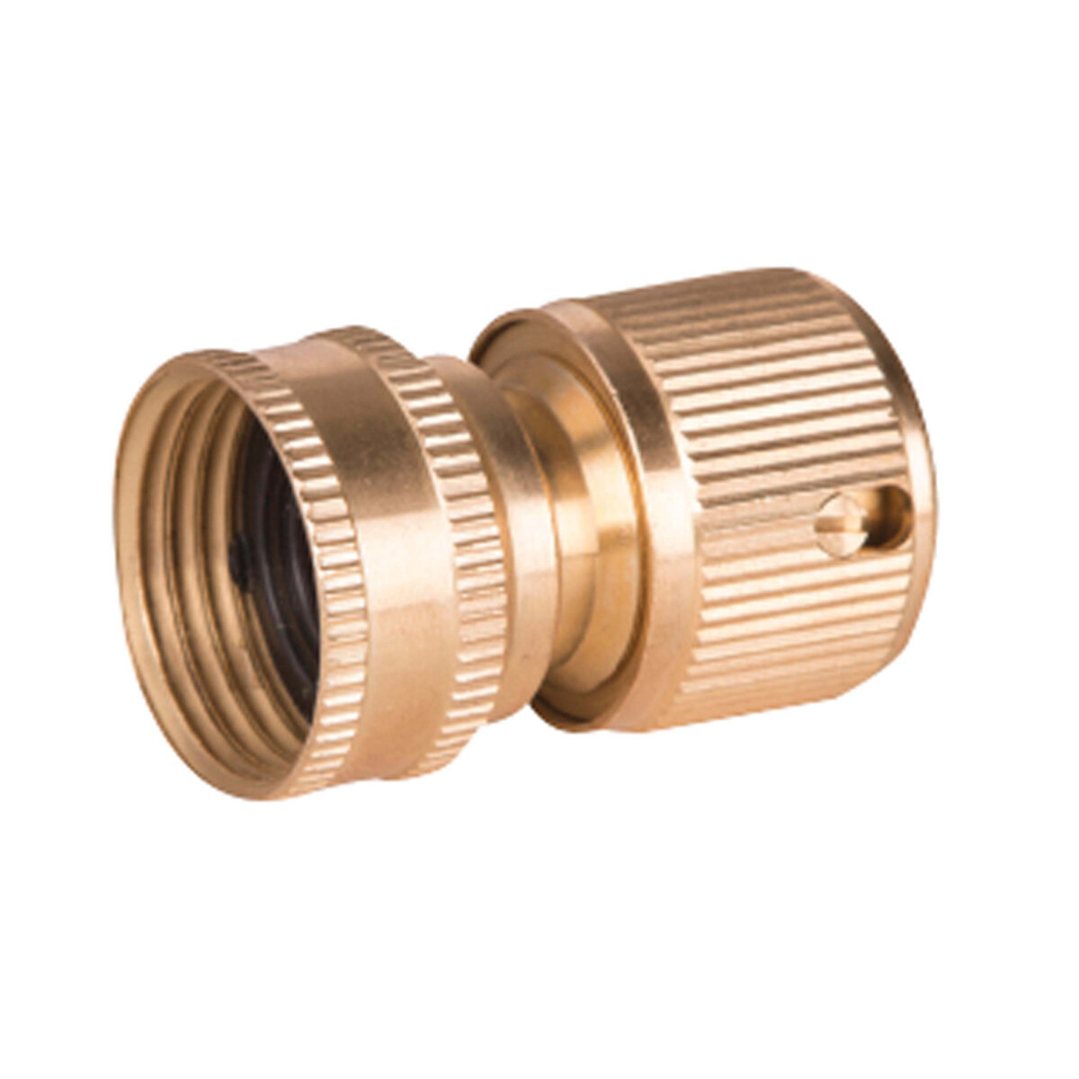 Express Pack Brass Deluxe CouplerxFemale Ght