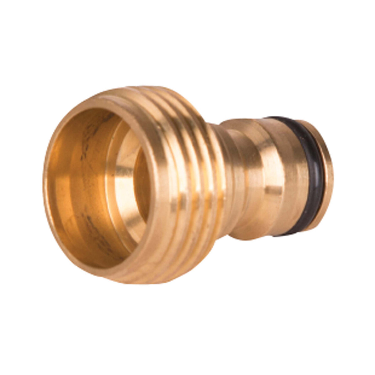 Express Pack Brass Deluxe Plug W/ OringxMale Ght
