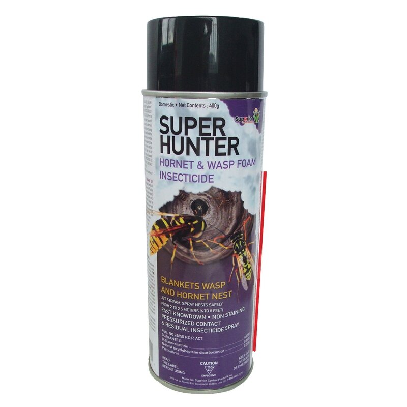 Hornet & Wasp Foam 400 g