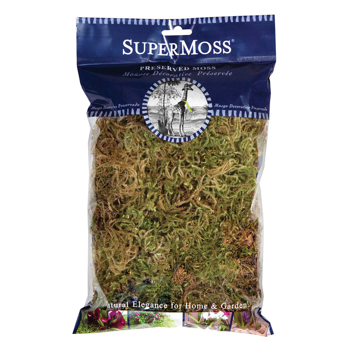 Forest Moss Dried Natural Green 2oz Bag