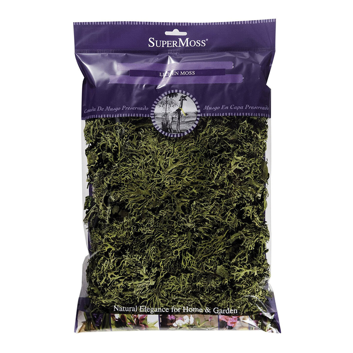 Sheet Moss Preserved Fresh Green 4oz Bag