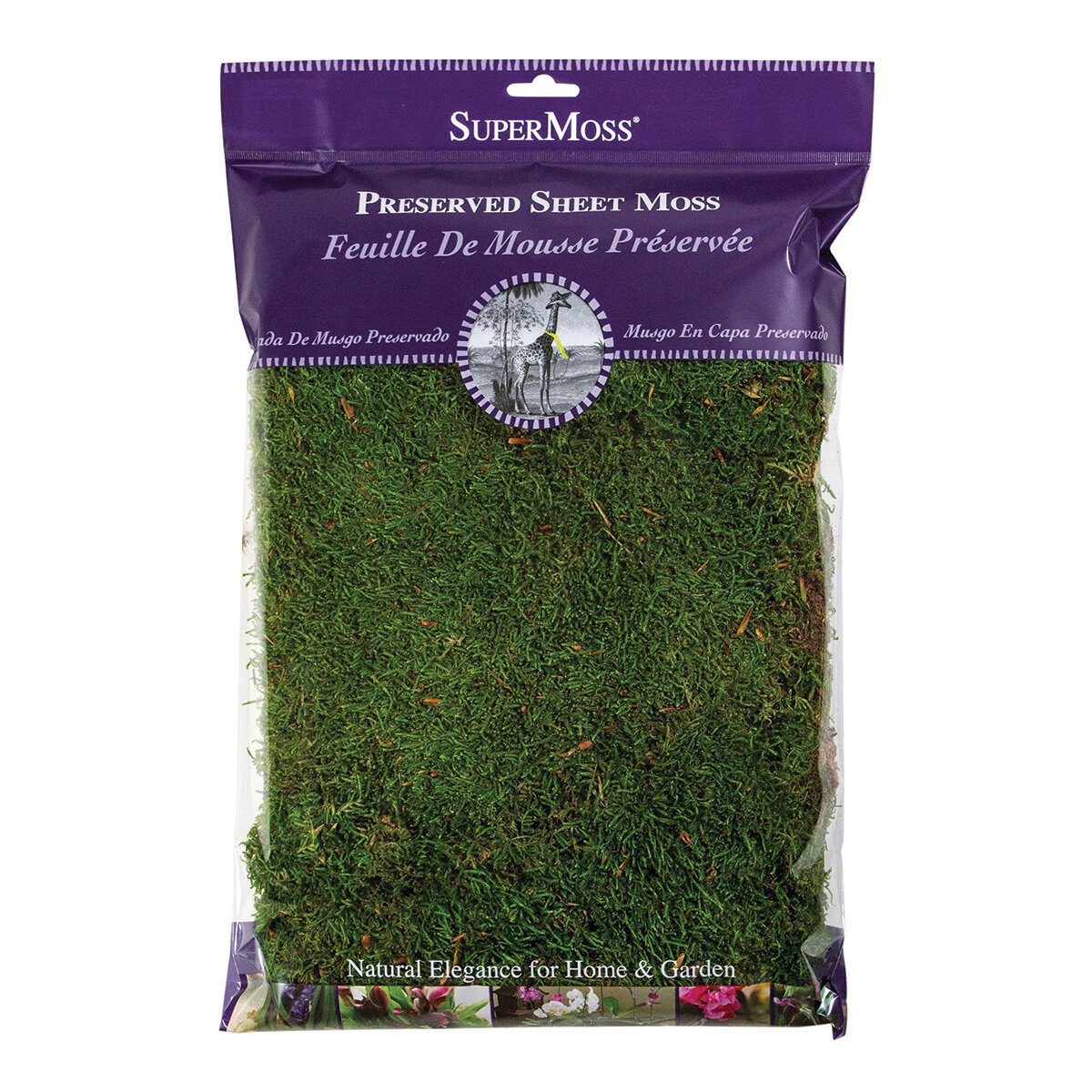 Sheet Moss Preserved Fresh Green 8oz Bag