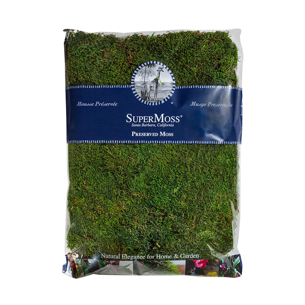 Sheet Moss Preserved Fresh Green 16oz Bag