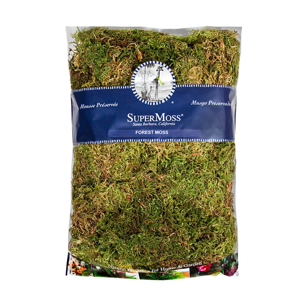 Forest Moss Dried Natural Green 16oz Bag
