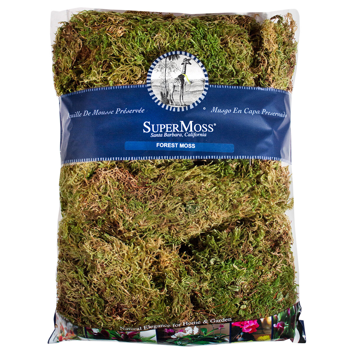 Forest Moss Dried - Natural Green Bag 32 Oz