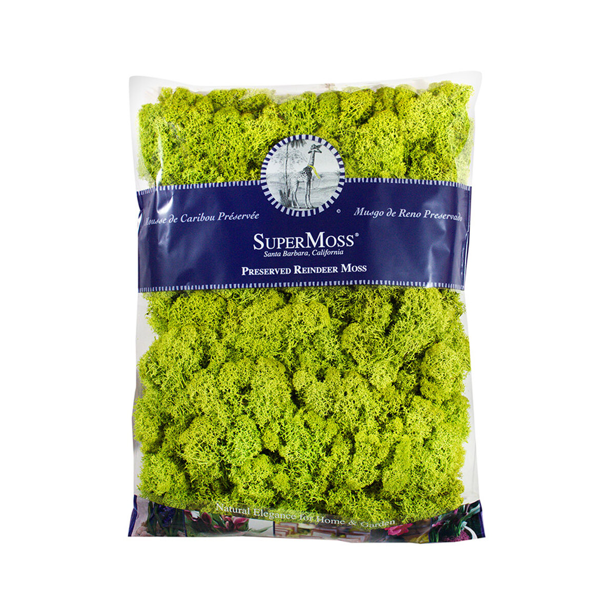 Reindeer Moss Preserved Chartreuse 16oz Bag