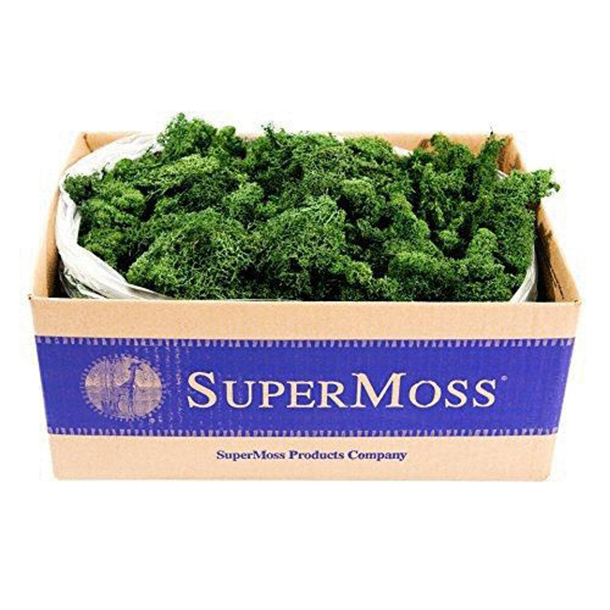 Reindeer Moss Preserved Forest 3lbs Box
