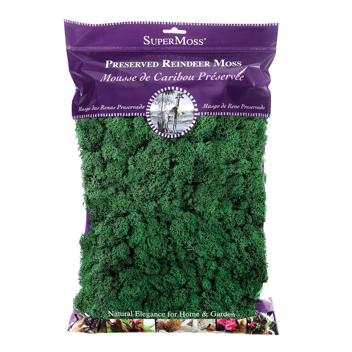 Reindeer Moss Preserved Forest 8oz Bag