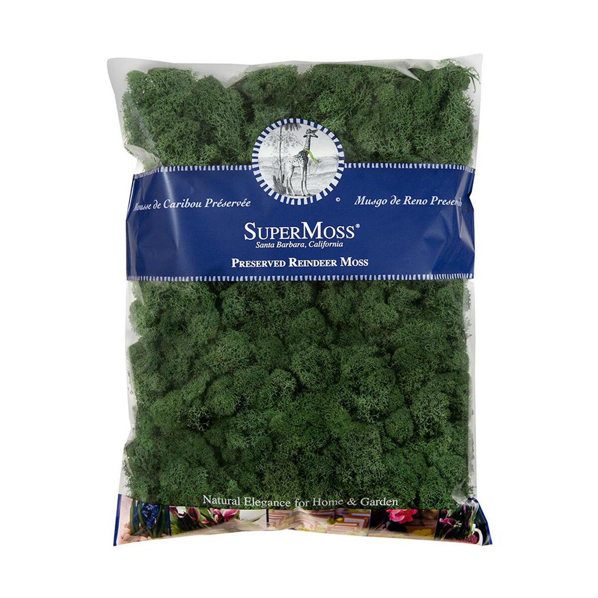 Reindeer Moss Preserved Forest 16oz Bag