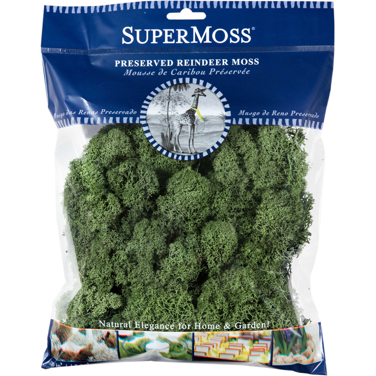 Reindeer Moss Preserved Basil 4oz Bag