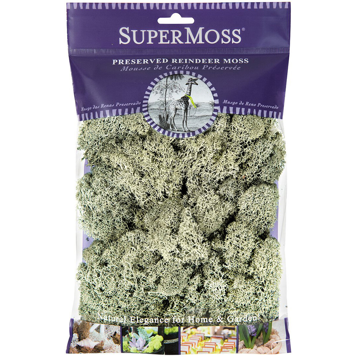 Reindeer Moss Preserved Moss Green 4oz Bag