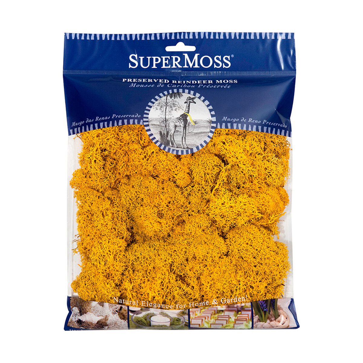 Reindeer Moss Preserved Mango 4oz Bag