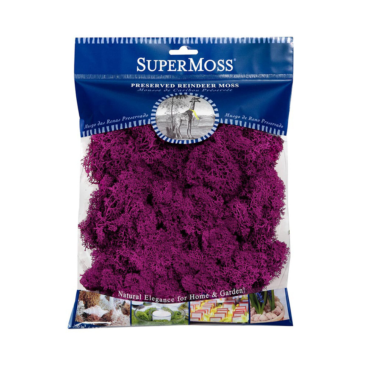 Reindeer Moss Preserved Fuchsia 4oz Bag