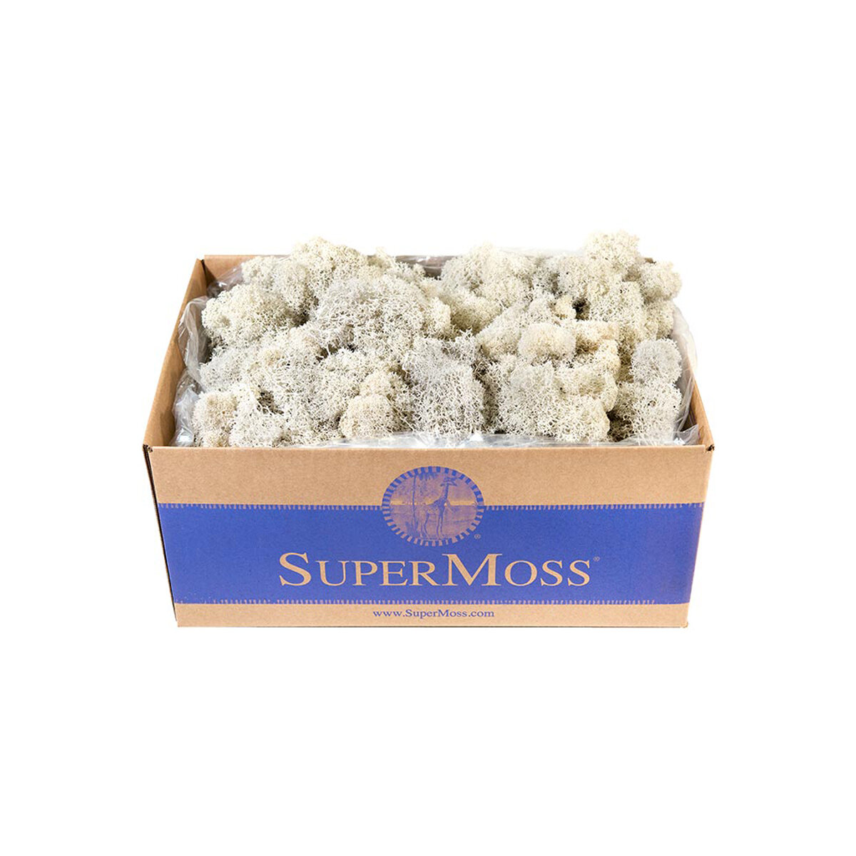 Reindeer Moss Preserved White 3lbs Box