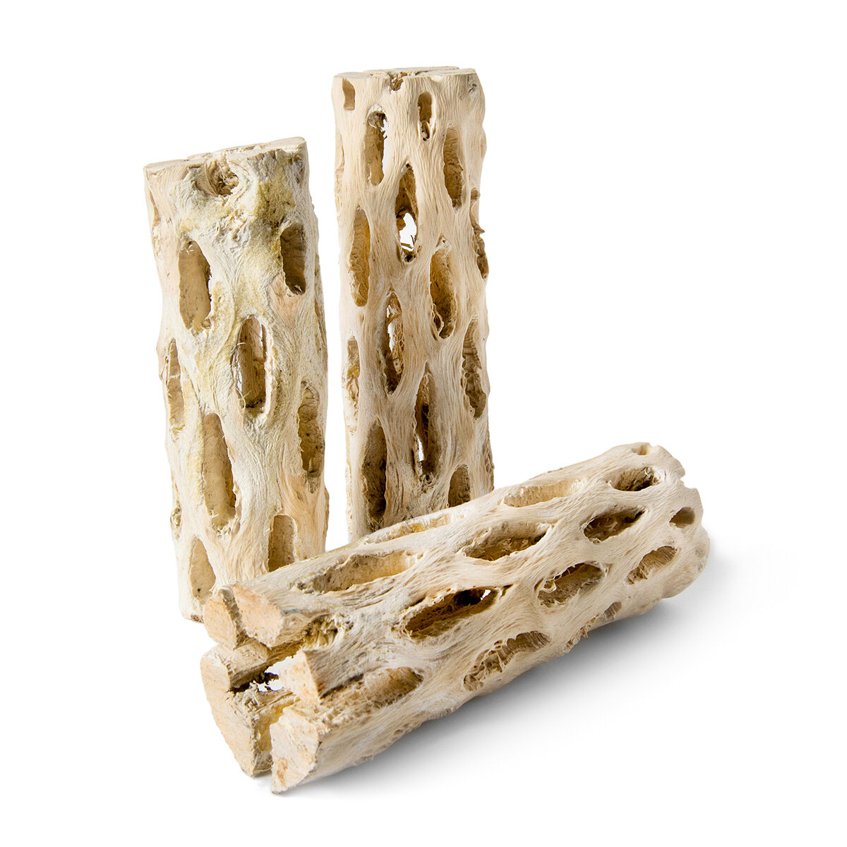 Cholla Wood 3-pack 6/cs