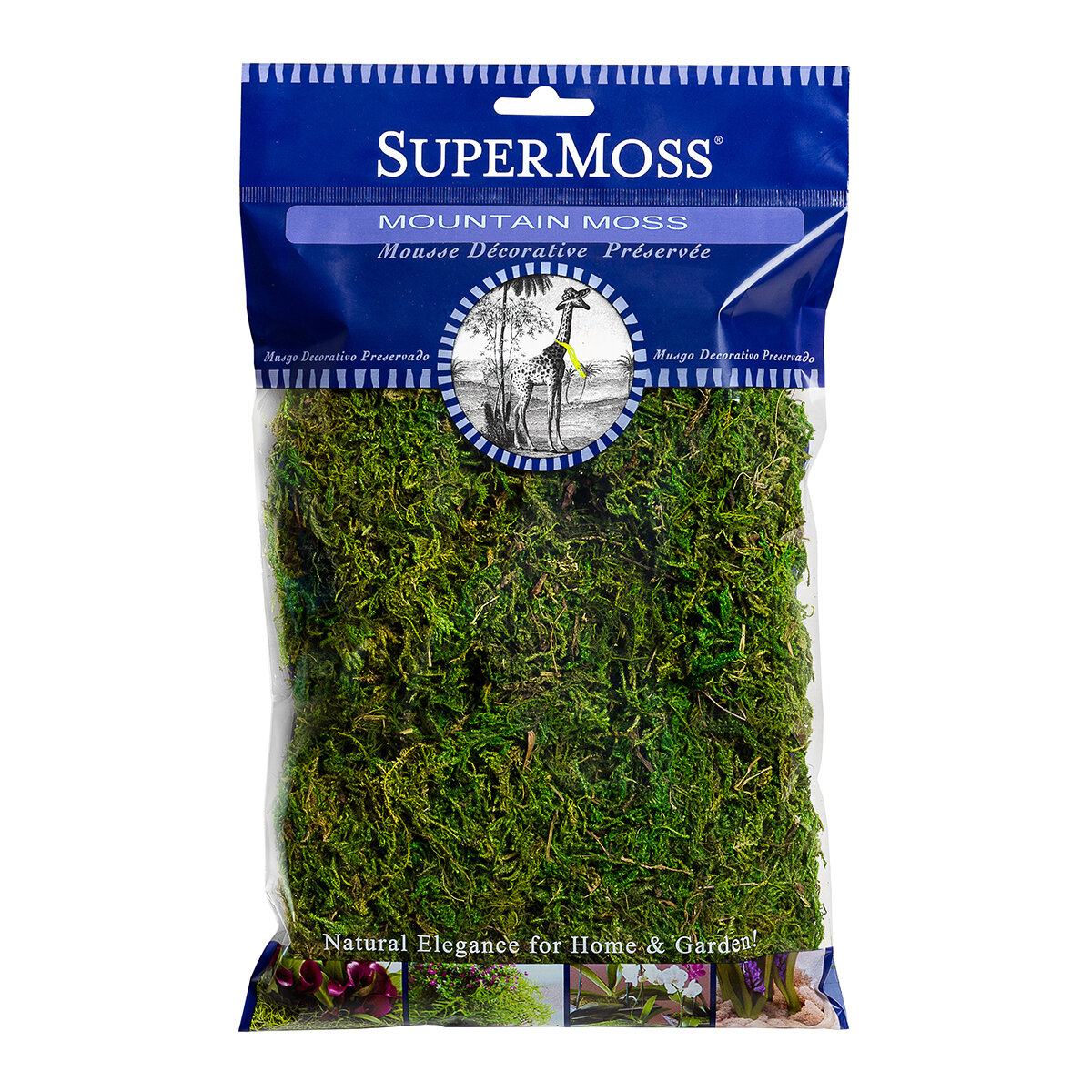 Mountain Moss Preserved - Fresh Green Bag 2 Oz