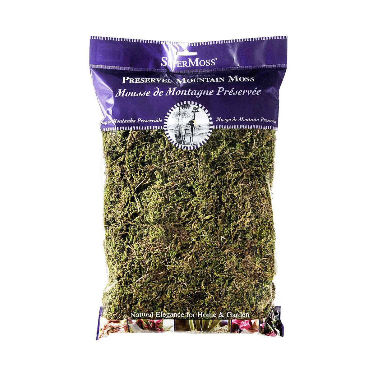 Mountain Moss Preserved Fresh Green 8oz Bag