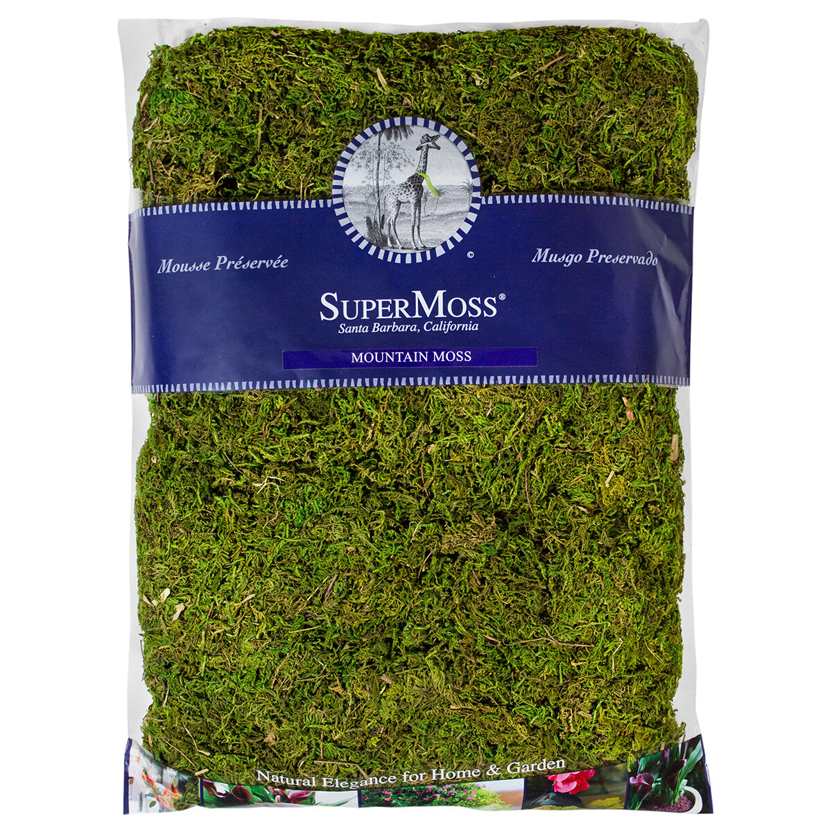 Mountain Moss Preserved - Fresh Green Bag 16 Oz
