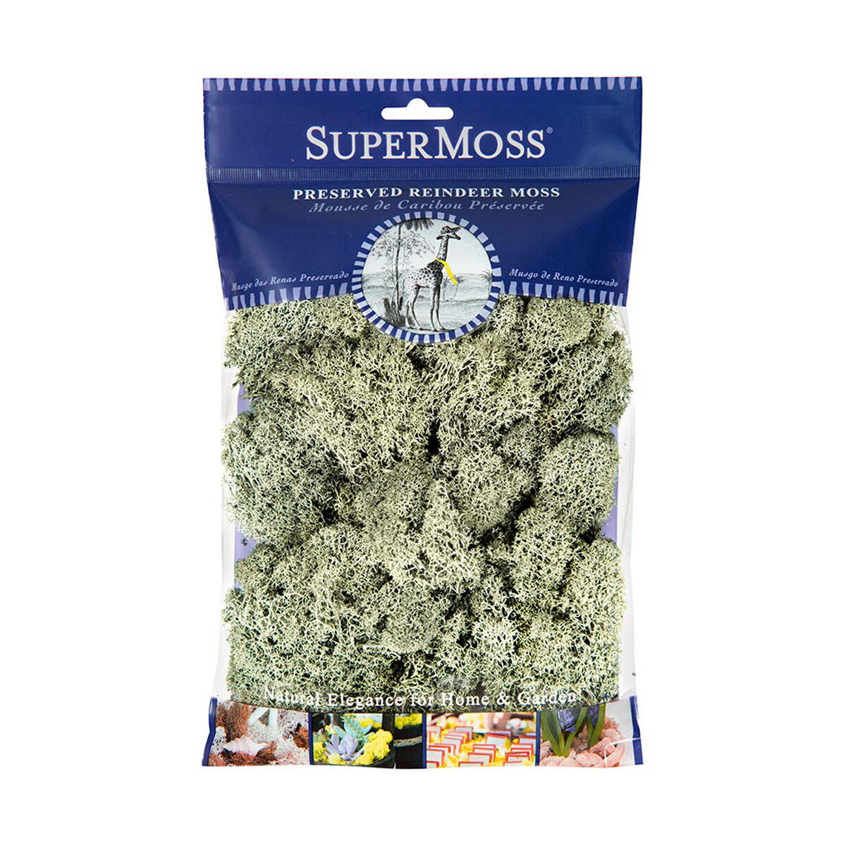 Reindeer Moss Preserved Moss Green 2oz Bag