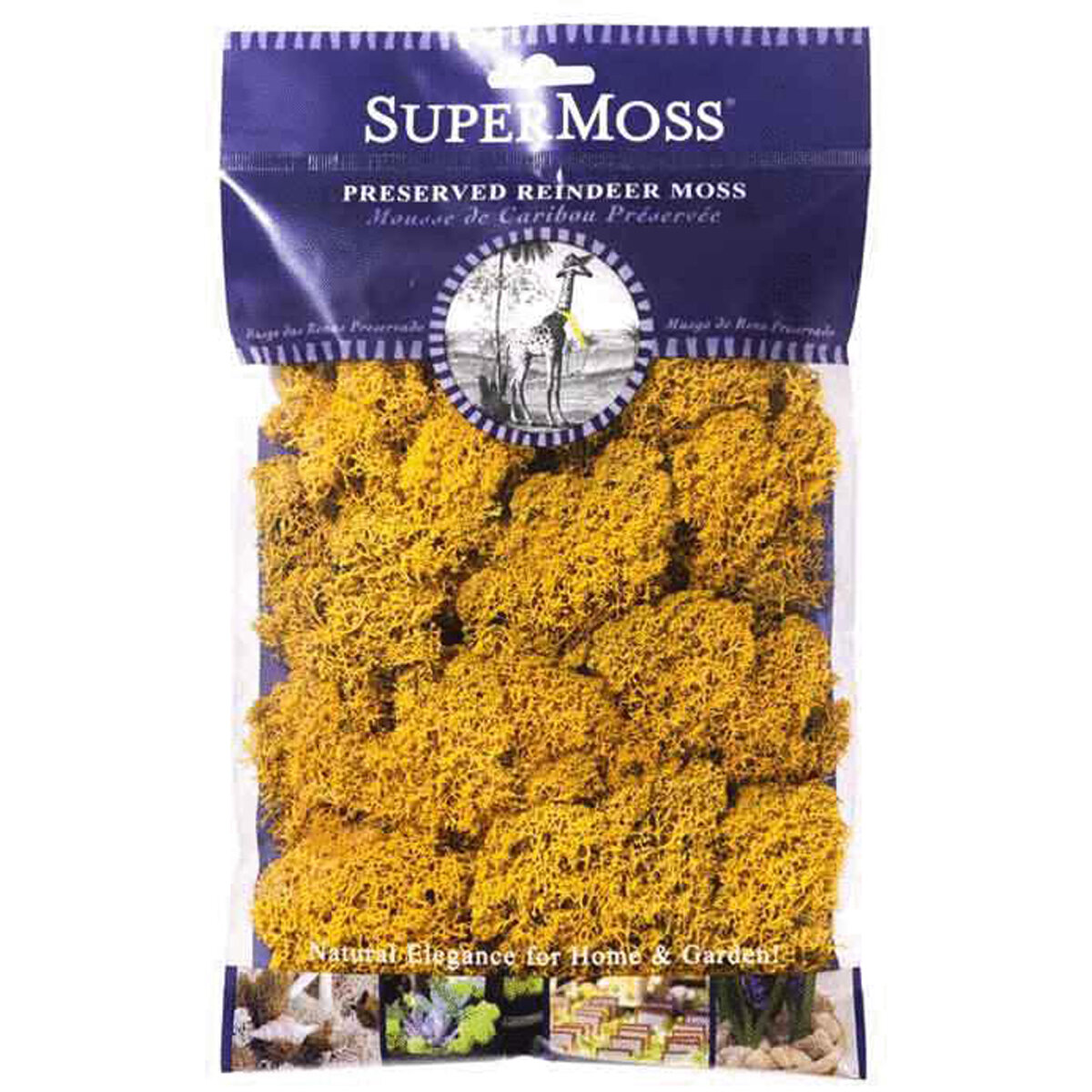 Reindeer Moss Preserved Mango 2oz Bag