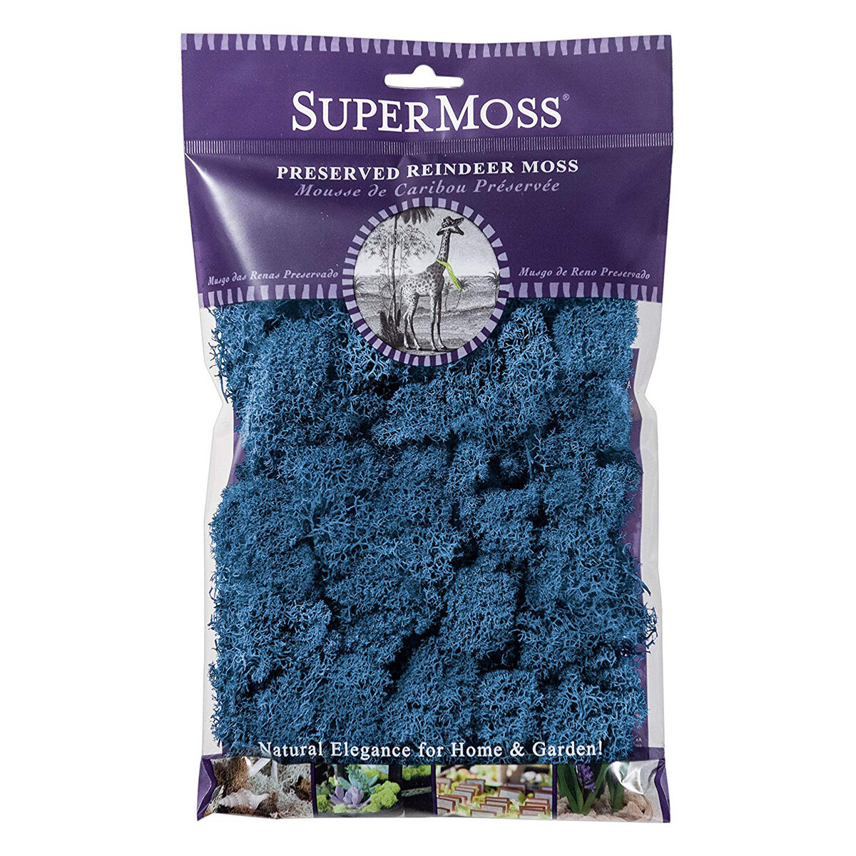 Reindeer Moss Preserved Royal Blue 2oz Bag