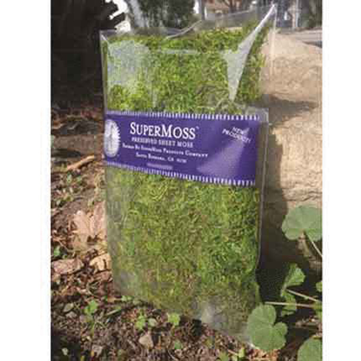Forest Moss Preserved Fresh Green 32Oz Bag