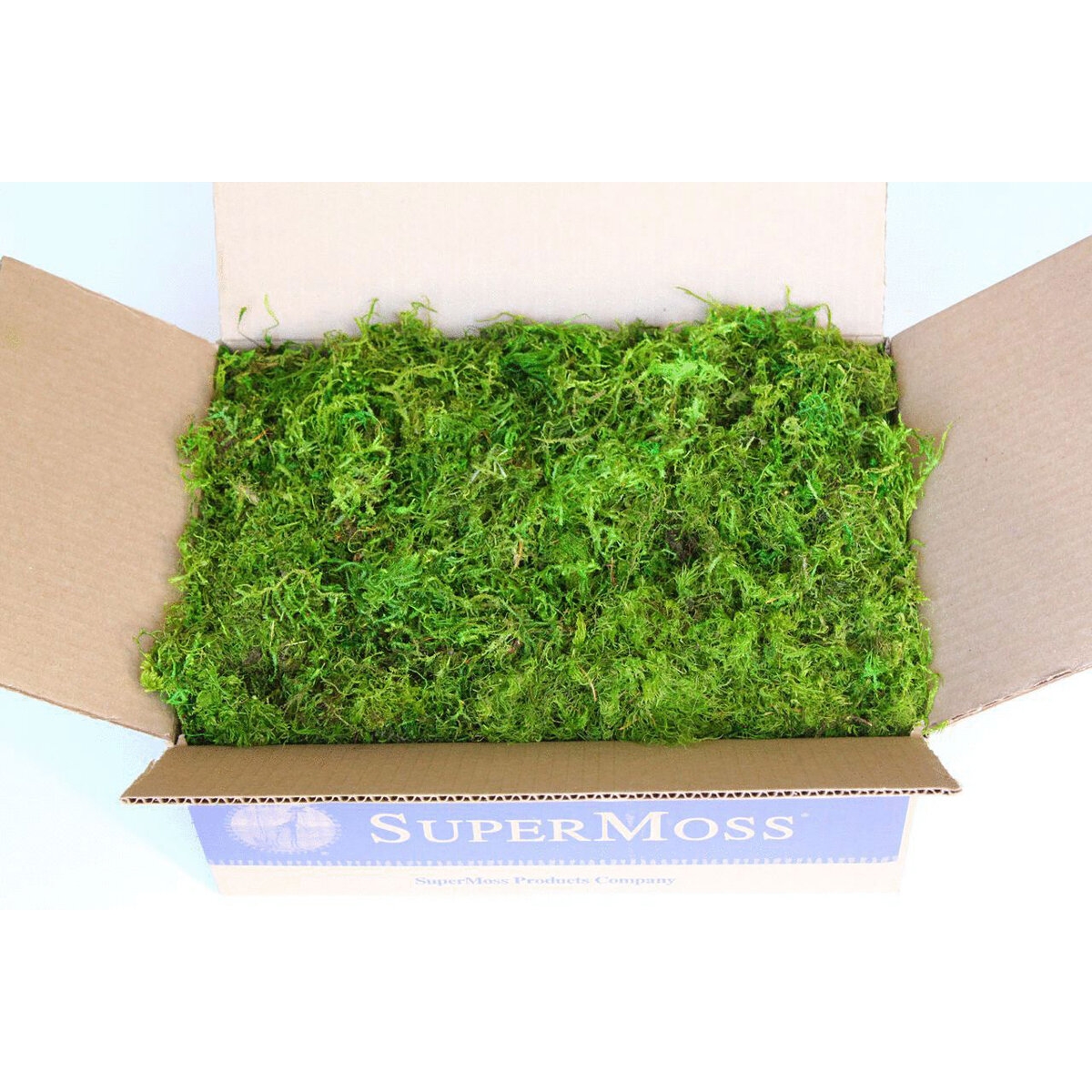 Forest Moss Preserved Fresh Green 3lb Box