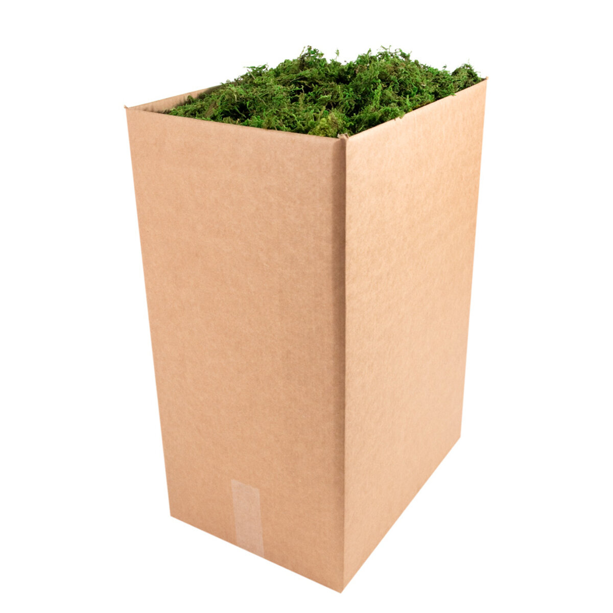 Forest Moss Preserved Fresh Green 10lb Box