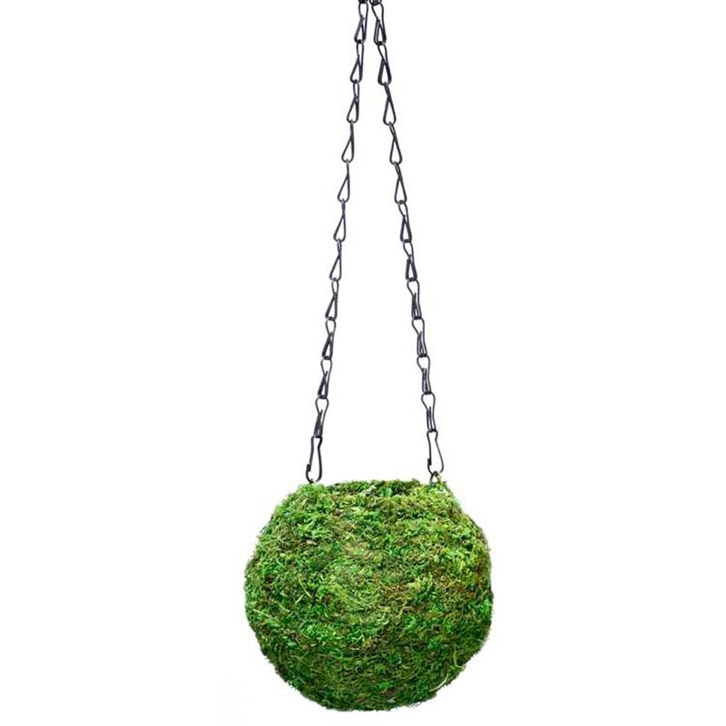 Kokedama Fresh Green 6in Diameter Kokedama Fresh Green 6in Diameter