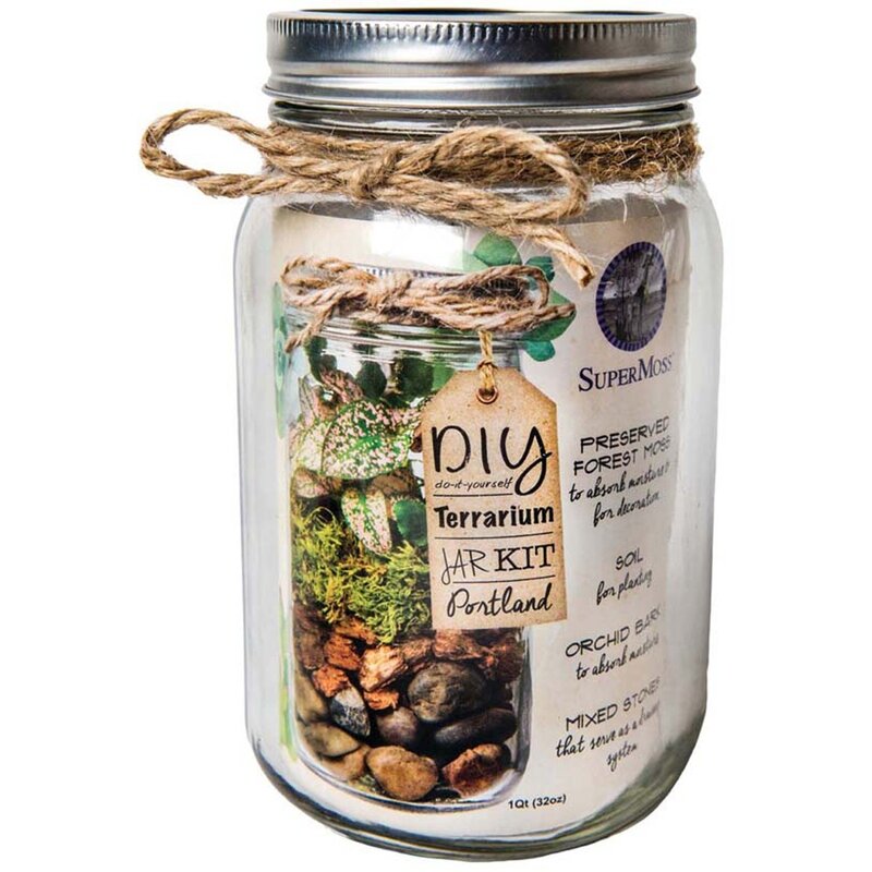 Terrarium Kit DIY Jar Portland 32oz Mason Jar Terrarium Kit DIY Jar Portland 32oz Mason Jar