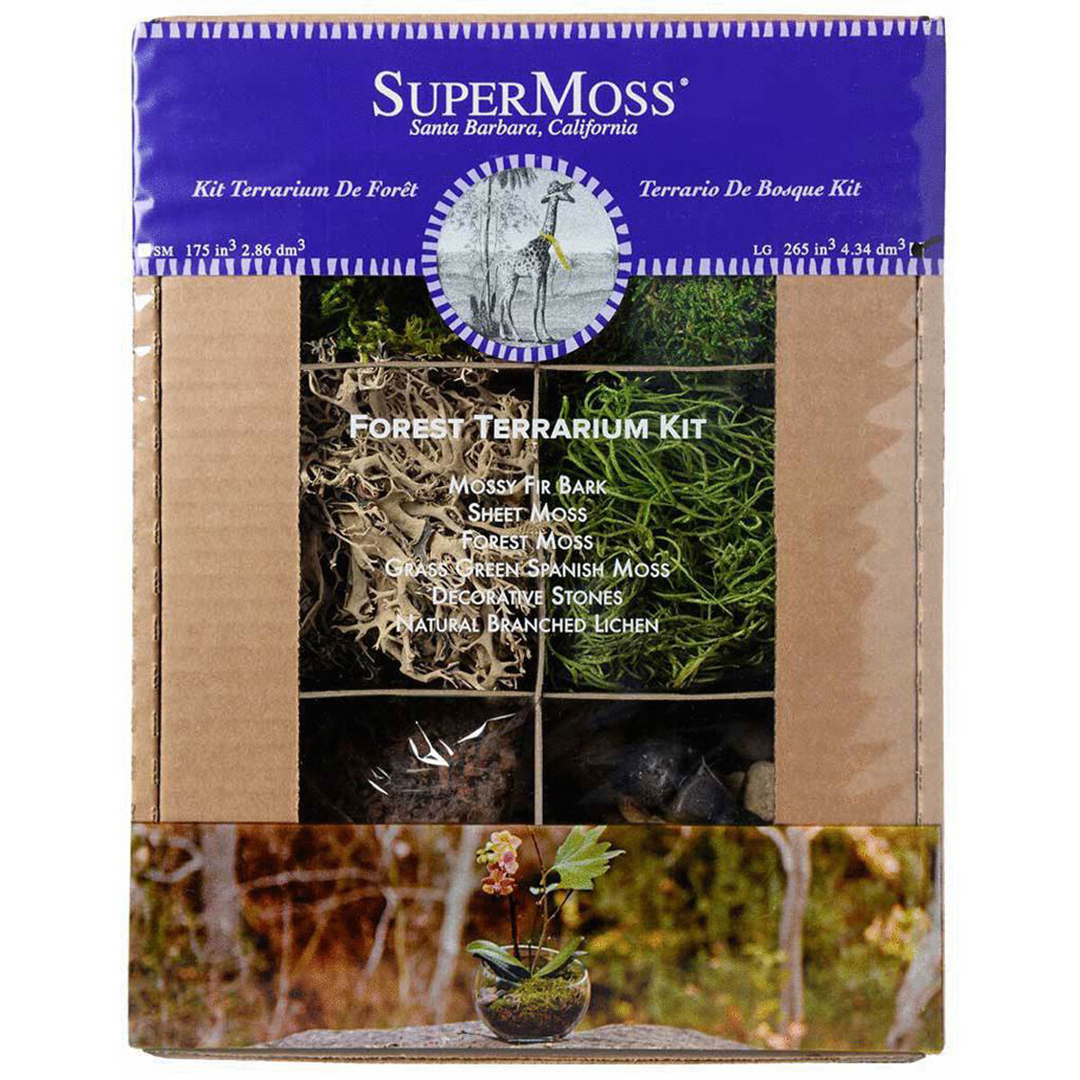 Terrarium Kit Forest 8oz Display Box