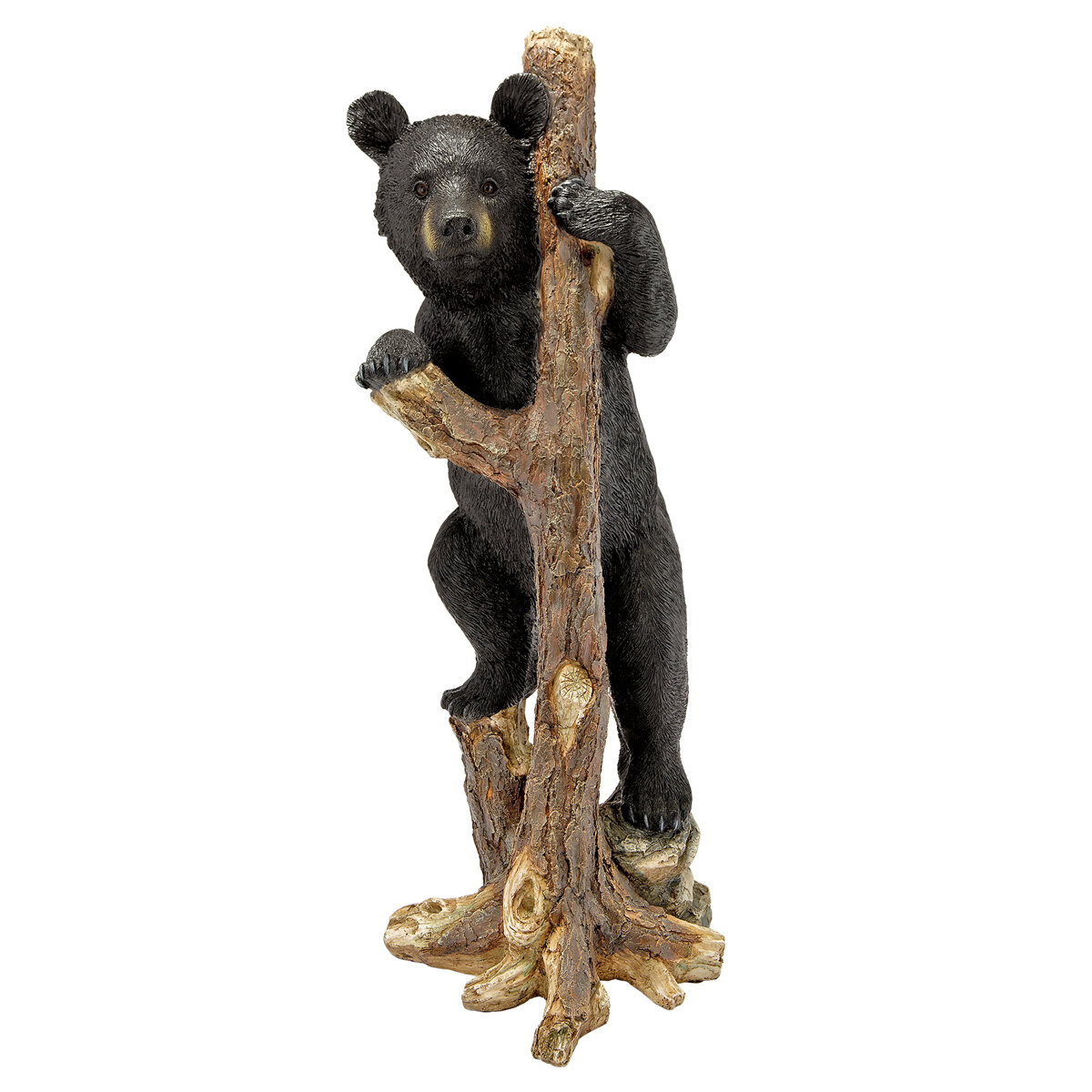 Dt Bashful Bear Cub Statue