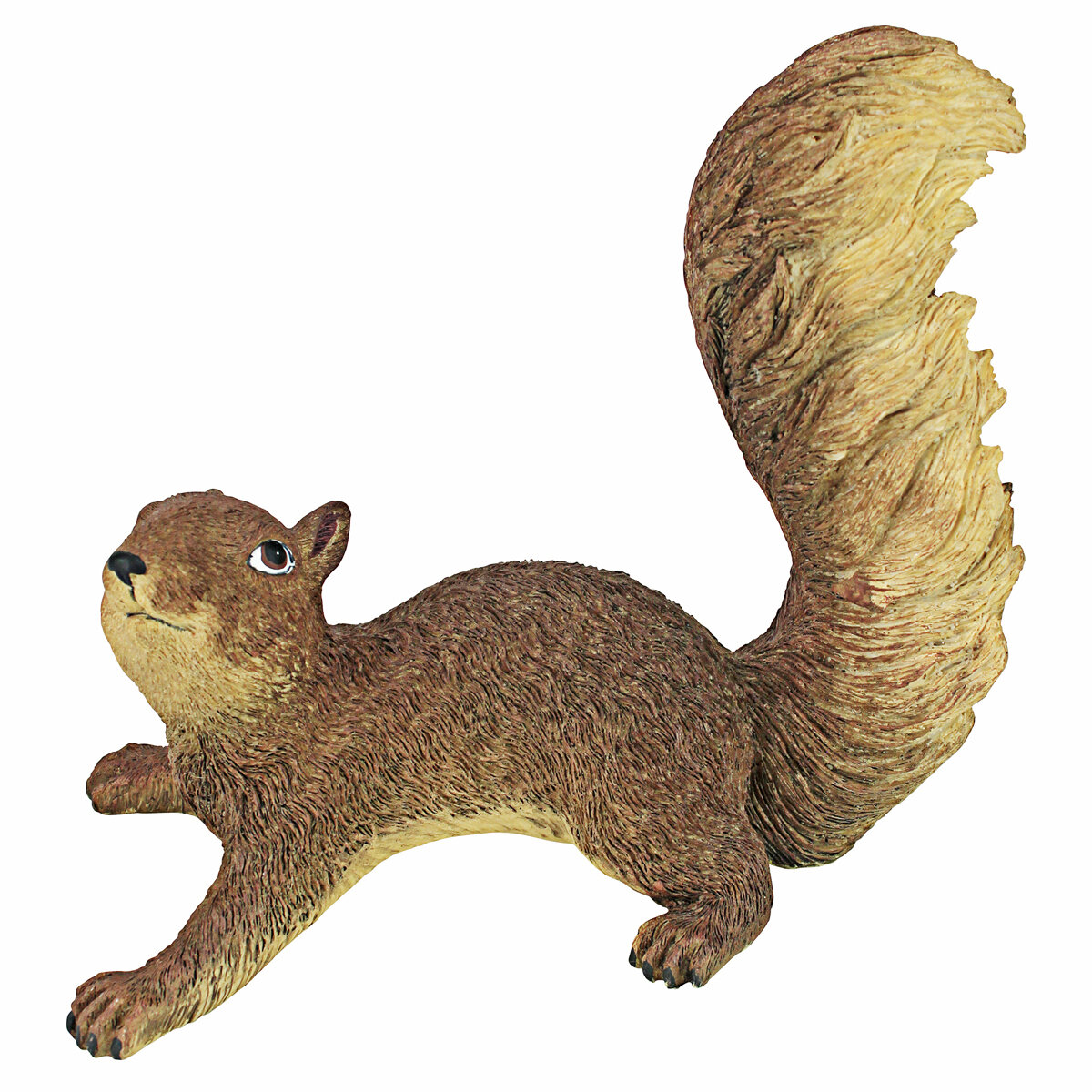 Simone The Squirrel
