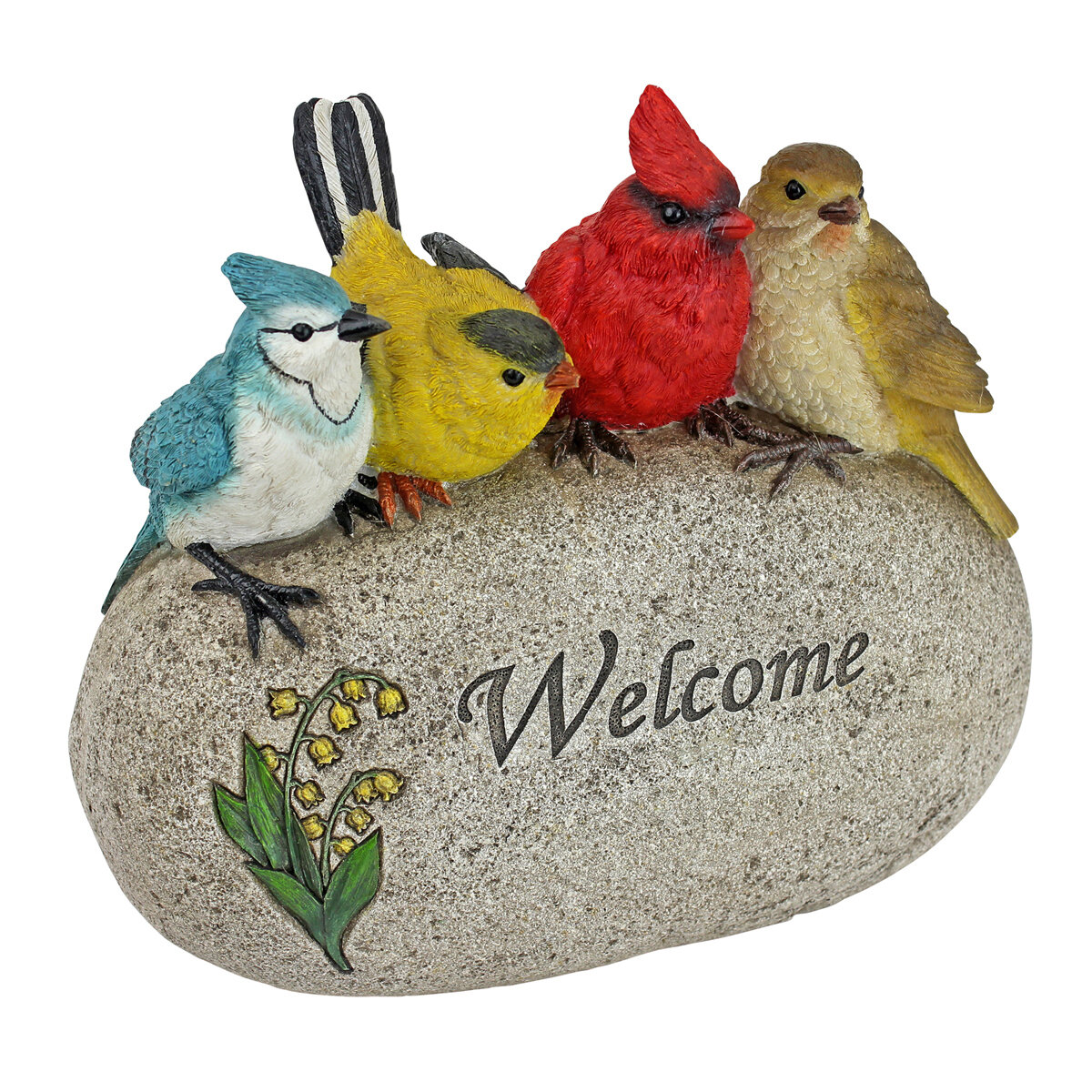 Medium Birdy Welcome On Rock