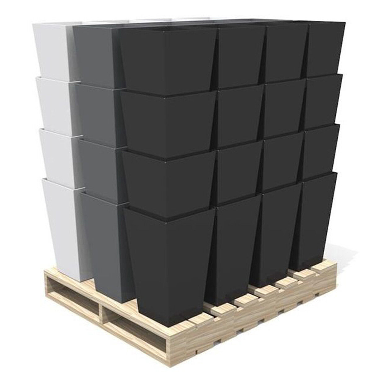 20" Finley DS (48pcs)