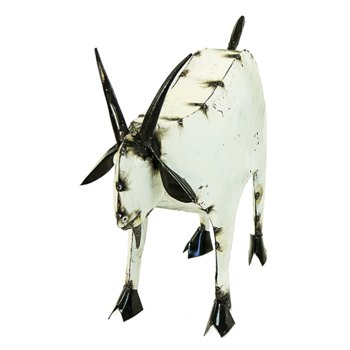 Goat Medium Casepack (2ea)