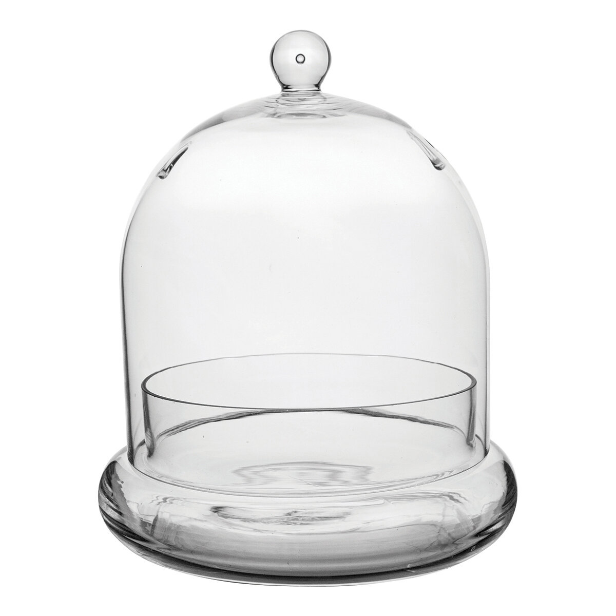 7" x 8 1/4" Terrarium Cloche