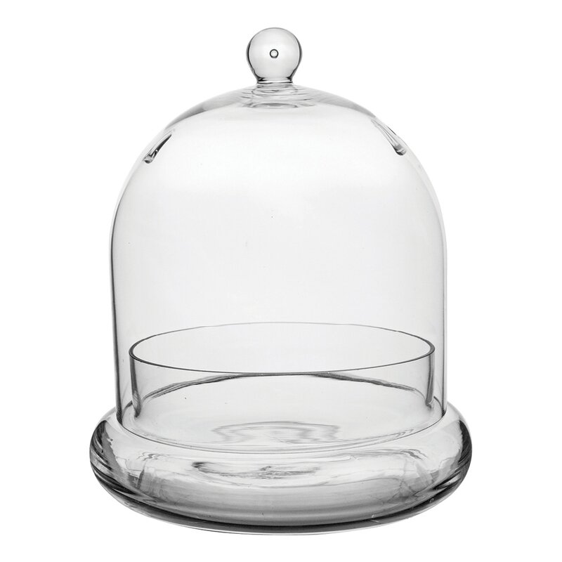 7" x 8 1/4" Terrarium Cloche