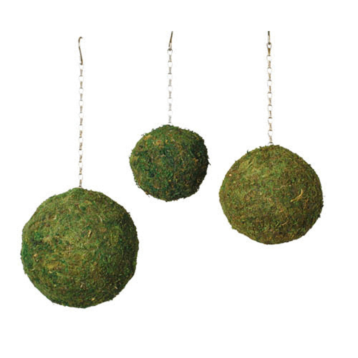 Moss Spheres - 8"