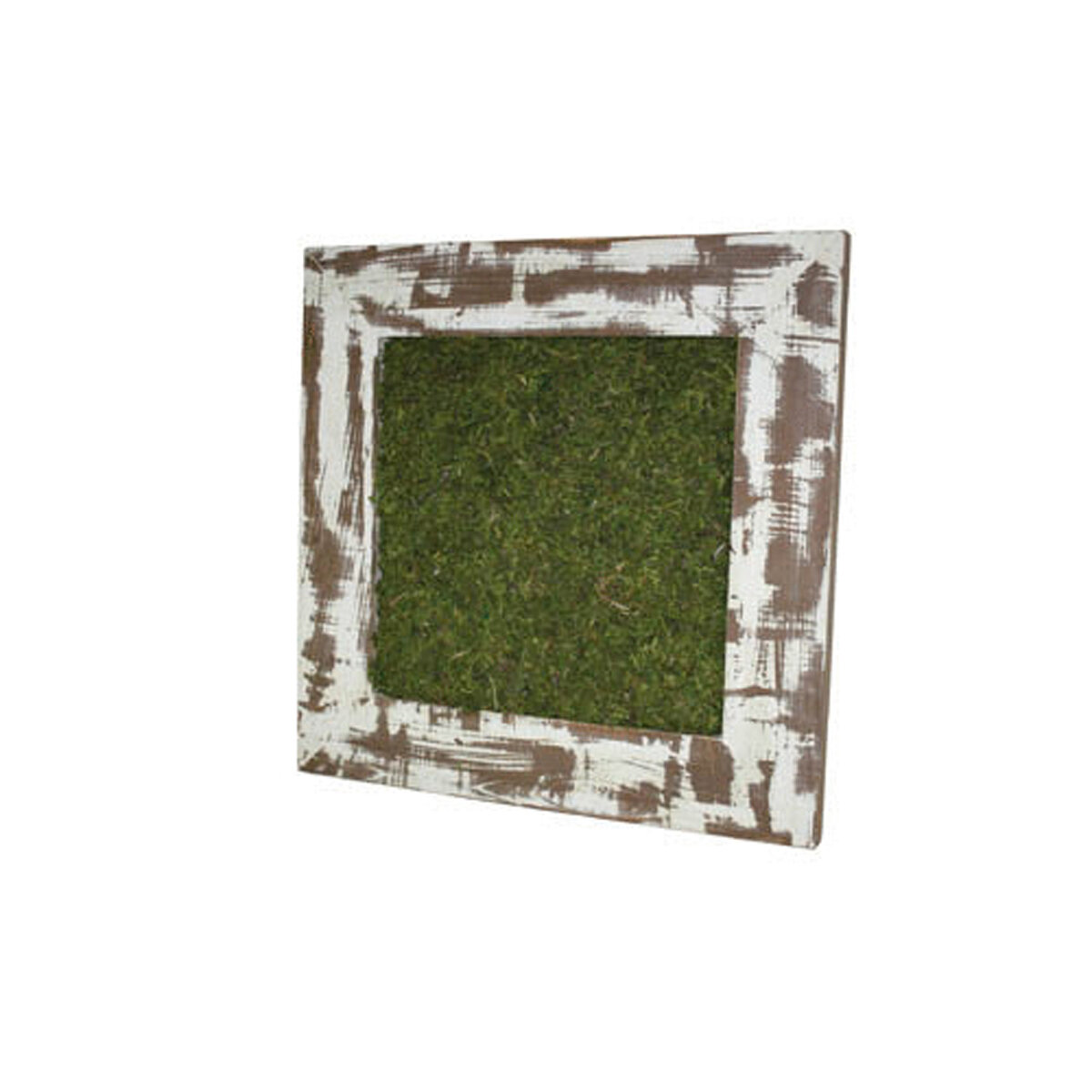 Succulent Moss Frame - 18" X 18" X 1"  (N/A)
