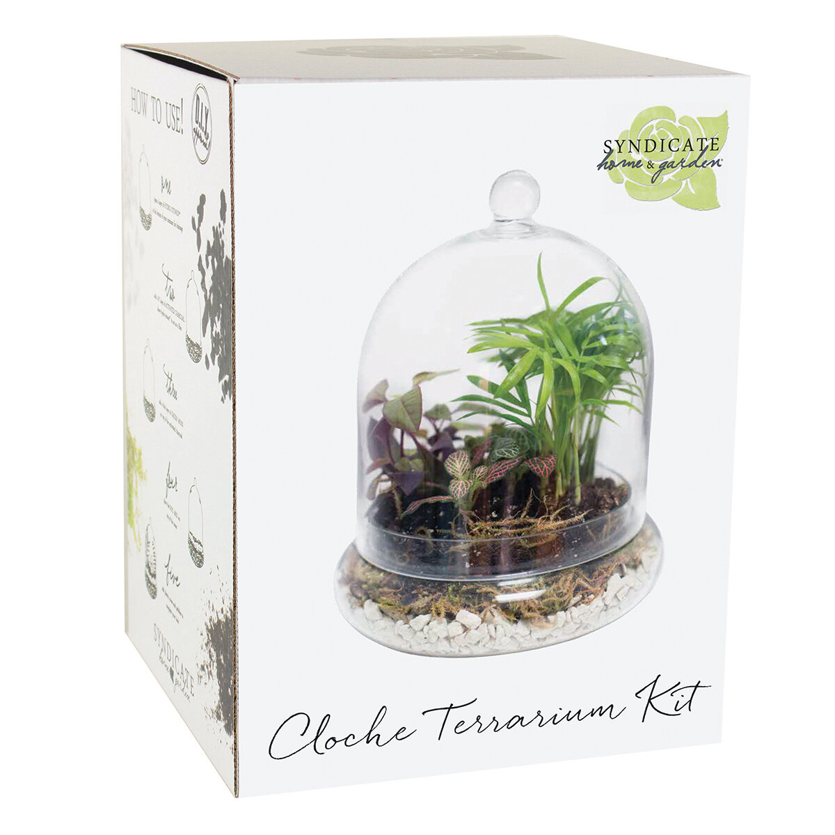 7" x 8 1/4" Cloche Terrarium Kit