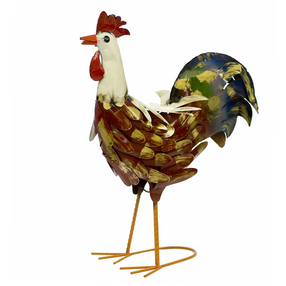 Curly Tail Rooster