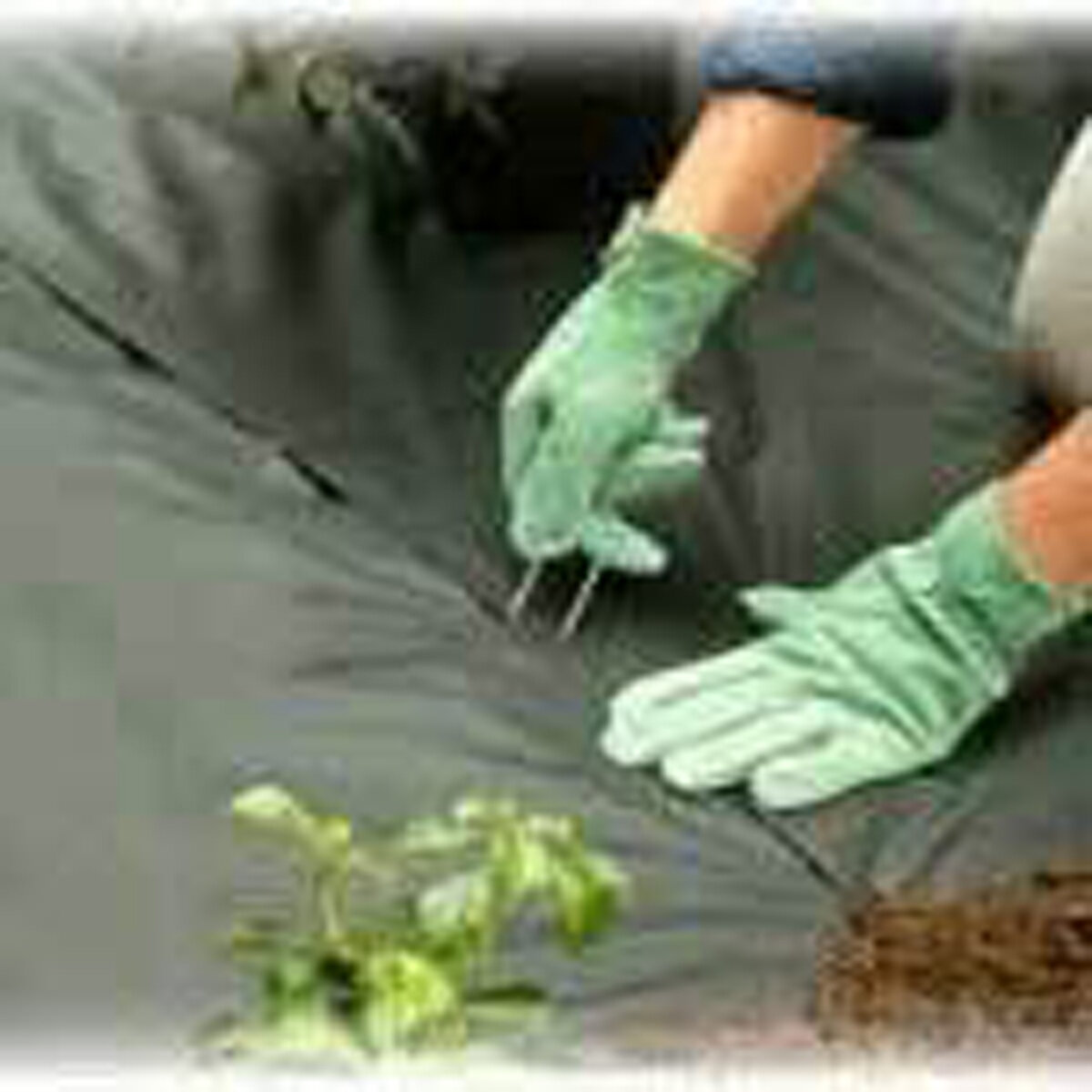 Garden Staples