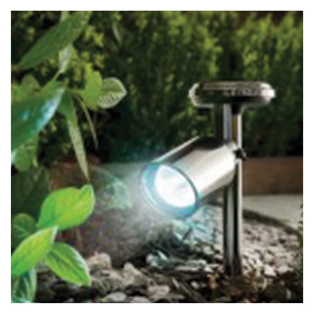 COL Black Nickel Solar Spotlight