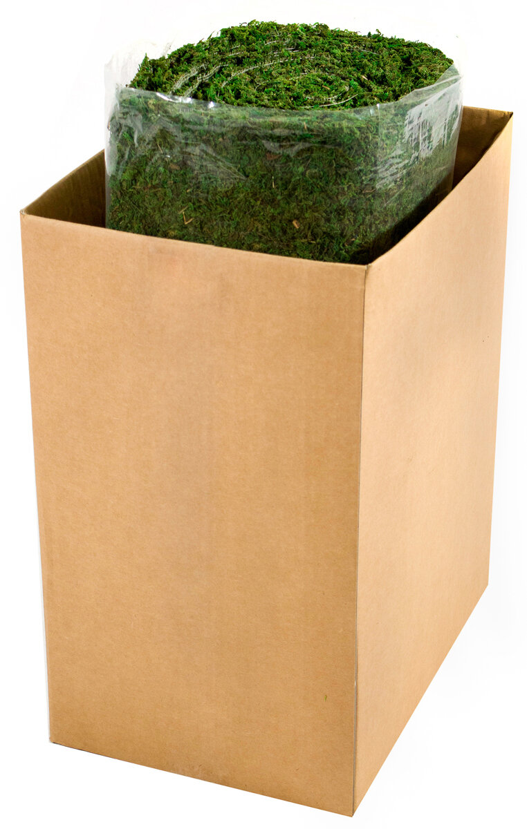 InstantGreen Moss Mat Green 1.5ft x 24ft